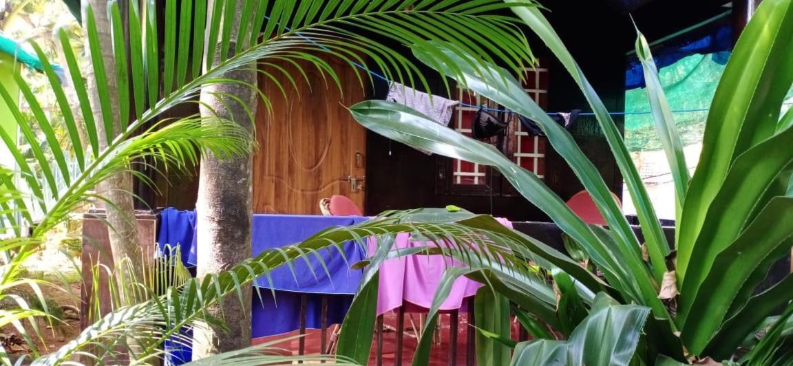 Casa Fiesta Hotel Palolem Exterior foto